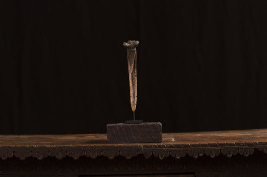 Abelam Cassowary Bone Dagger
