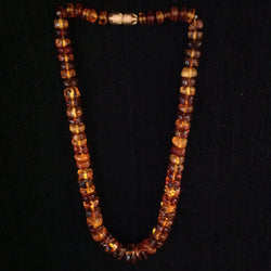 Amber Necklace Graduated