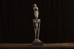 Male Ancestral Figure with Bird
