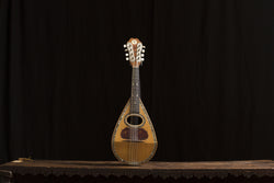 Vintage Mandolin w/Harp Mandolin TM