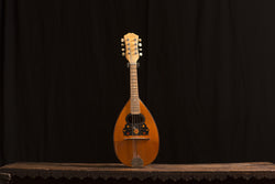 Vintage Mandolin with Flowers